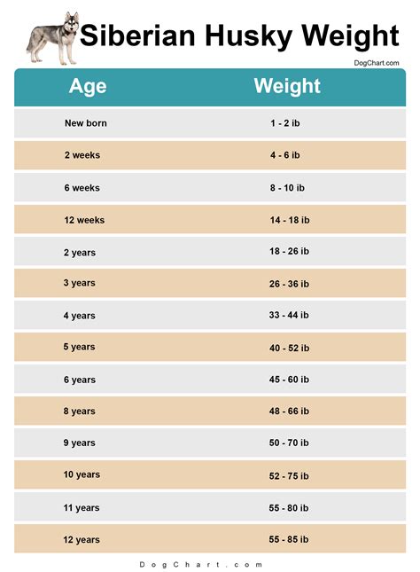 husky growing chart|husky weight gain chart.